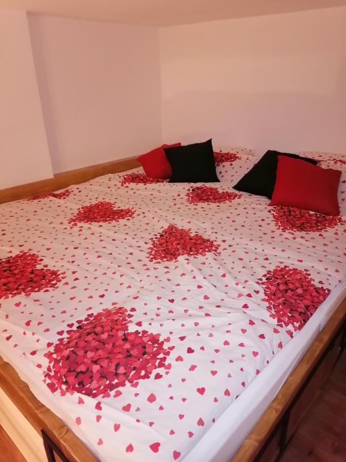 פטרוברדין Apartman Stimac מראה חיצוני תמונה
