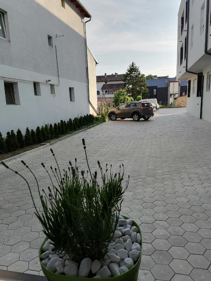 פטרוברדין Apartman Stimac מראה חיצוני תמונה