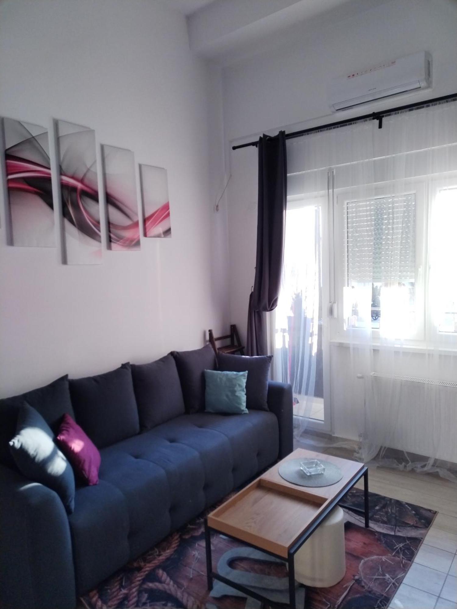 פטרוברדין Apartman Stimac מראה חיצוני תמונה